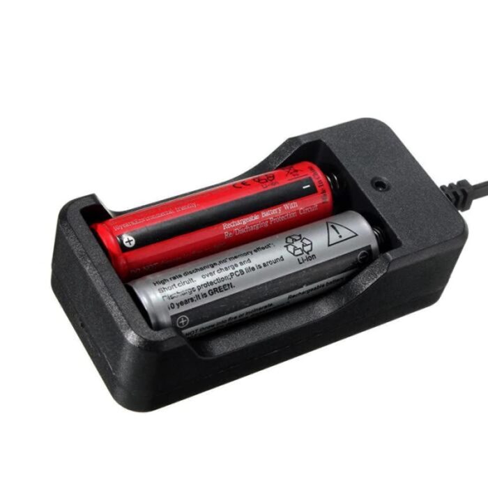 Dual-Battery-Charger-for-186503