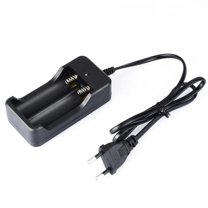 Dual-Battery-Charger-for-186505